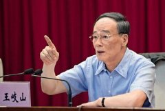 王岐山“淡出”媒體40天 兩“虎”現(xiàn)原形