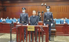 從年輕干部到退休干部 主動投案人數大幅增加 標本兼治綜合效應顯現 主動投案才是正道