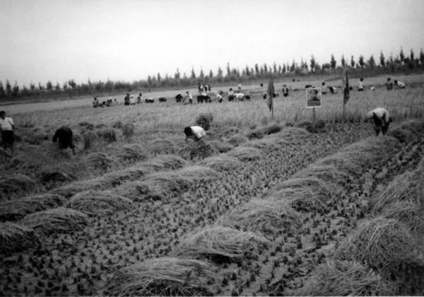 寫盡黨的好干部焦裕祿的為民情懷與英雄本色,雖然焦裕祿同志已離開我們53年,但焦裕祿精神是我們黨永遠(yuǎn)的榜樣力量和寶貴財(cái)富,廉政教育