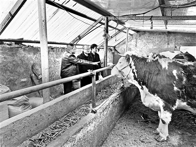 聚焦鑄牢中華民族共同體意識(shí)強(qiáng)化監(jiān)督