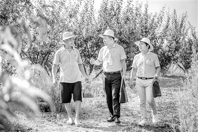 貫通協(xié)同做實(shí)涉農(nóng)資金項(xiàng)目監(jiān)督